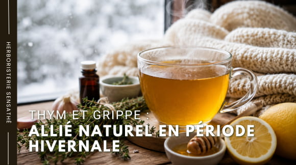 Thym et grippe  allié naturel en période hivernale - Herboristerie Sensathé